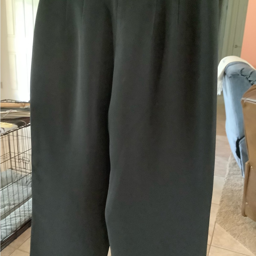 Lined Winter Pants - image 4